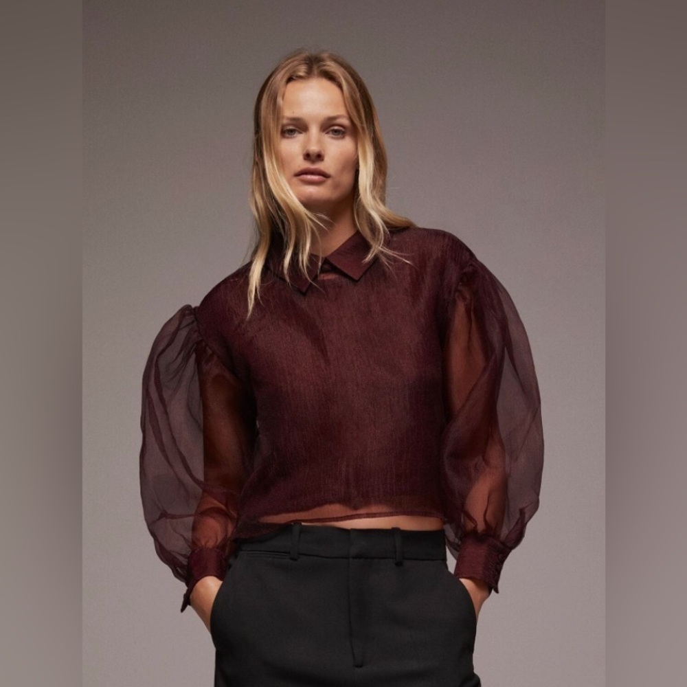 Elegant Burgundy Sheer Sleeve Top